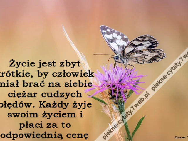 Życie jest zbyt krótkie, by człowiek miał brać na siebie ciężar cudzych błędów. Każdy żyje swoim życiem i płaci za to odpowiednią cenę