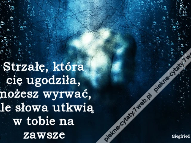 Strzałę, która cię ugodziła, możesz wyrwać, ale słowa utkwią w tobie na zawsze
