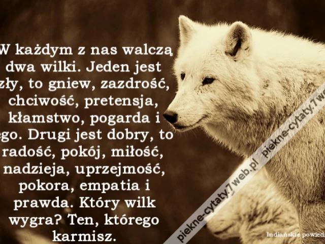 W każdym z nas walczą dwa wilki. Jeden jest zły, to gniew, zazdrość, chciwość, pretensja, kłamstwo, pogarda i ego. Drugi jest dobry, to radość, pokój, miłość, nadzieja, uprzejmość, pokora, empatia i prawda. Który wilk wygra? Ten, którego karmisz.
