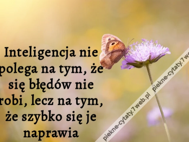 Inteligencja nie polega na tym, że się błędów nie robi, lecz na tym, że szybko się je naprawia