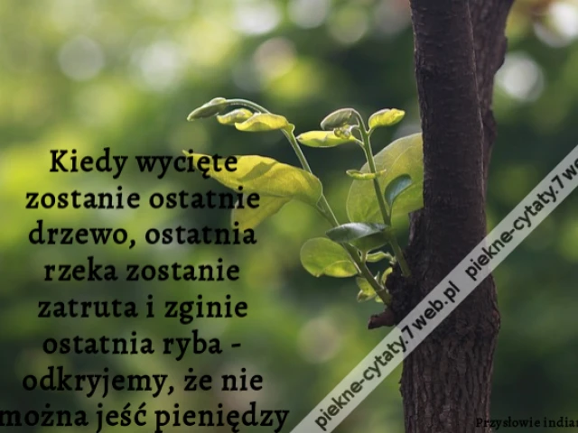 Kiedy wycięte zostanie ostatnie drzewo, ostatnia rzeka zostanie zatruta i zginie ostatnia ryba - odkryjemy, że nie można jeść pieniędzy.