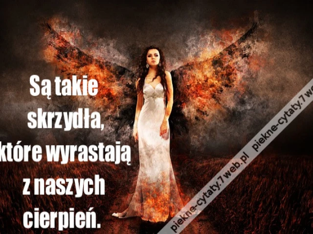 Są ta­kie skrzydła,które wy­ras­tają z naszych cierpień.