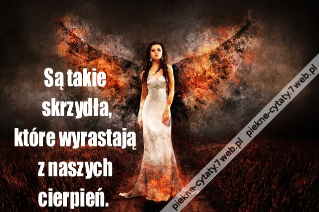 Są takie skrzydła,które wyrastają z naszych cierpień.