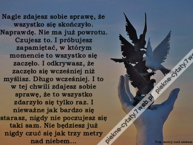Nagle zdajesz sobie sprawę, że wszystko się skończyło. Naprawdę. Nie ma już powrotu. Czujesz to. I próbujesz zapamiętać, w którym momencie to wszystko się zaczęło. I odkrywasz, że zaczęło się wcześniej niż myślisz. Długo wcześniej. I to w tej chwili zdaje