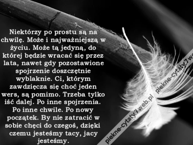 Niektórzy po prostu są na chwilę. Może i najważniejszą w życiu. Może tą jedyną, do której będzie wracać się przez lata, nawet gdy pozostawione spojrzenie doszczętnie wyblaknie. Ci, którym zawdzięcza się choć jeden wers, są pomimo. Trzeba tylko iść dalej.
