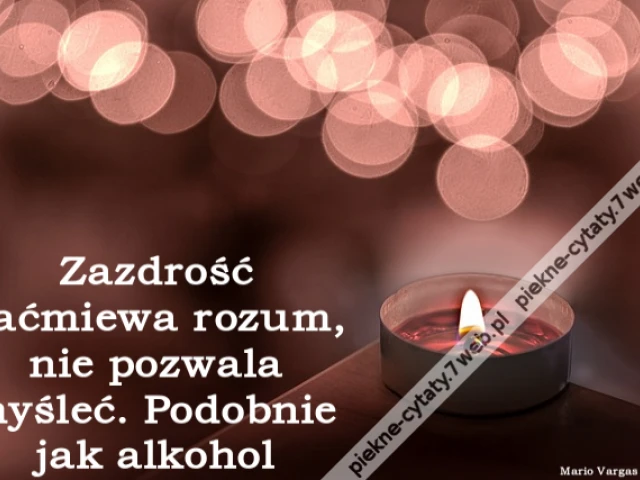 Zazdrość zaćmiewa rozum, nie pozwala myśleć. Podobnie jak alkohol