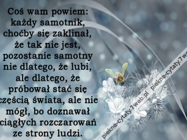 Coś wam powiem: każdy samotnik, choćby się zaklinał, że tak nie jest, pozostanie samotny nie dlatego, że lubi, ale dlatego, że próbował stać się częścią świata, ale nie mógł, bo doznawał ciągłych rozczarowań ze strony ludzi.