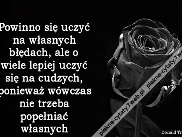 Powinno się uczyć na własnych błędach, ale o wiele lepiej uczyć się na cudzych, ponieważ wówczas nie trzeba popełniać własnych