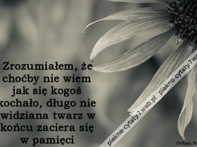 Zrozumiałem, że choćby nie wiem jak się kogoś kochało, długo nie widziana twarz w końcu zaciera się w pamięci