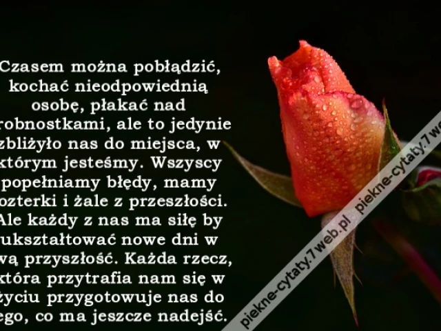 Czasem można pobłądzić, kochać nieodpowiednią osobę, płakać nad drobnostkami, ale to jedynie zbliżyło nas do miejsca, w którym jesteśmy. Wszyscy popełniamy błędy, mamy rozterki i żale z przeszłości. Ale każdy z nas ma siłę by ukształtować nowe dni w swą p