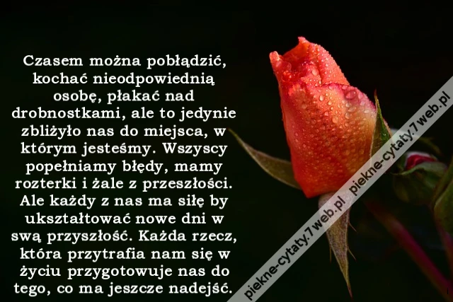 Czasem można pobłądzić, kochać nieodpowiednią osobę, płakać nad drobnostkami, ale to jedynie zbliżyło nas do miejsca, w którym jesteśmy. Wszyscy popełniamy błędy, mamy rozterki i żale z przeszłości. Ale każdy z nas ma siłę by ukształtować nowe dni w swą p