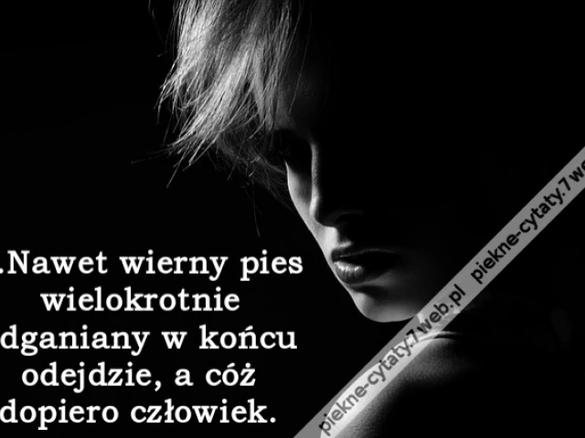 ...Nawet wierny pies wielokrotnie odganiany w końcu odejdzie, a cóż dopiero człowiek.