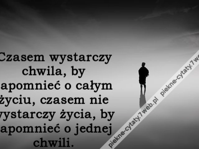 Czasem wystarczy chwila, by zapomnieć o całym życiu, czasem nie wystarczy życia, by zapomnieć o jednej chwili.