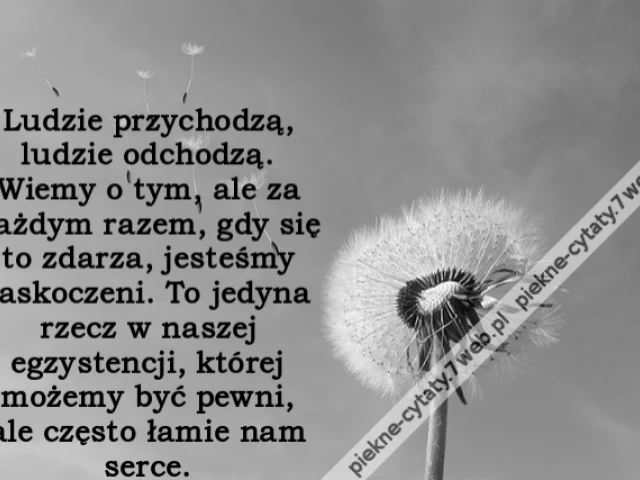Ludzie przychodzą, ludzie odchodzą. Wiemy o tym, ale za każdym razem, gdy się to zdarza, jesteśmy zaskoczeni. To jedyna rzecz w naszej egzystencji, której możemy być pewni, ale często łamie nam serce.