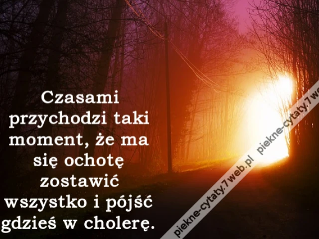 Czasami przychodzi taki moment, że ma się ochotę zostawić wszystko i pójść gdzieś w cholerę.