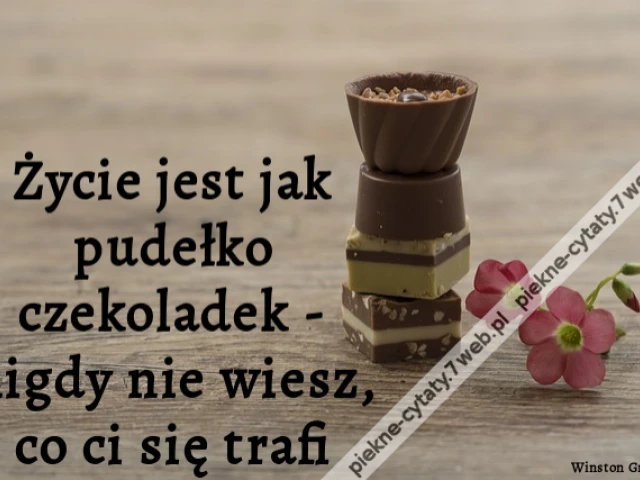 Życie jest jak pudełko czekoladek - nigdy nie wiesz, co ci się trafi.