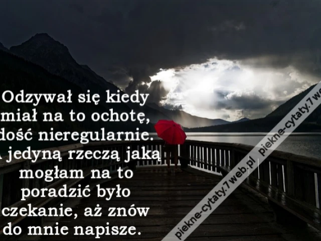 Odzywał się kiedy miał na to ochotę, dość nieregularnie. A jedyną rzeczą jaką mogłam na to poradzić było czekanie, aż znów do mnie napisze.