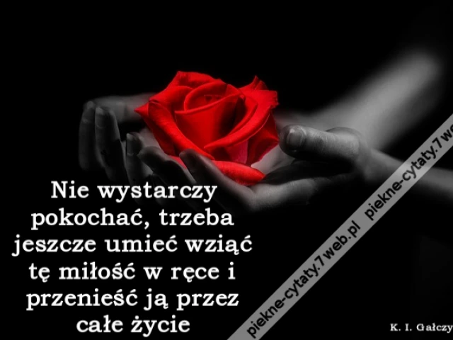 Nie wystarczy pokochać, trzeba jeszcze umieć wziąć tę miłość w ręce i przenieść ją przez całe życi