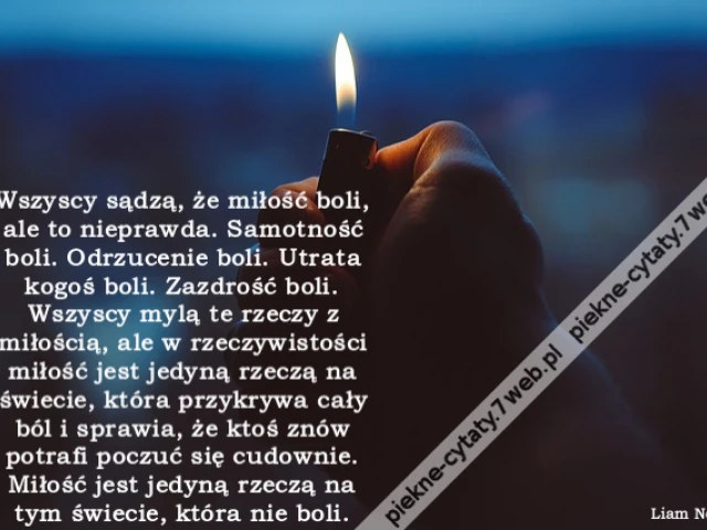Wszyscy sądzą, że miłość boli, ale to nieprawda. Samotność boli. Odrzucenie boli. Utrata kogoś boli. Zazdrość boli. Wszyscy mylą te rzeczy z miłością, ale w rzeczywistości miłość jest jedyną rzeczą na świecie, która przykrywa cały ból i sprawia, że ktoś z