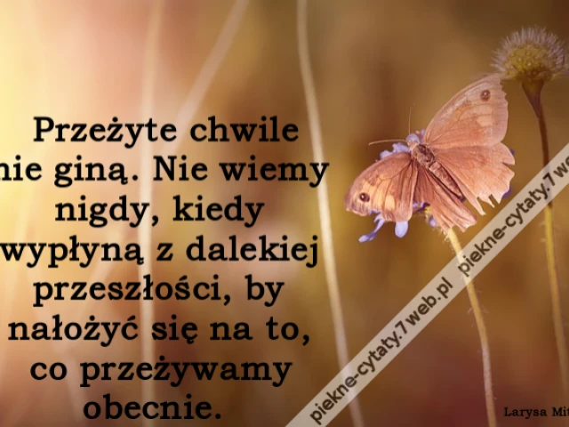 Przeżyte chwile nie giną. Nie wiemy nigdy, kiedy wypłyną z dalekiej przeszłości, by nałożyć się na to, co przeżywamy obecnie.