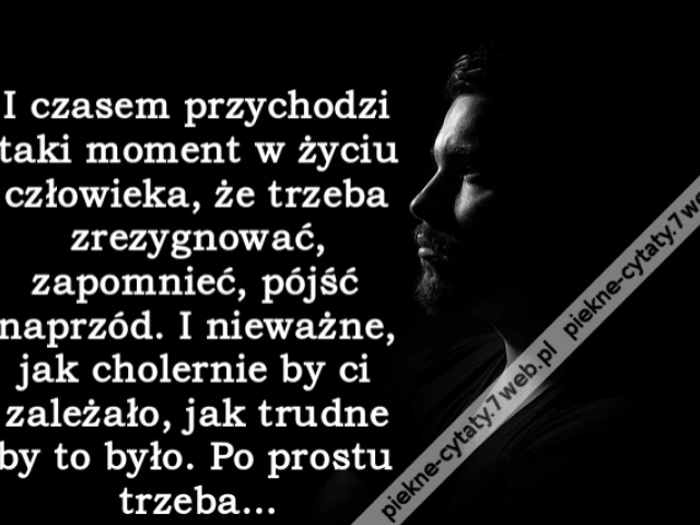 I czasem przychodzi taki moment w życiu człowieka, że trzeba zrezygnować, zapomnieć, pójść naprzód. I nieważne, jak cholernie by ci zależało, jak trudne by to było. Po prostu trzeba…