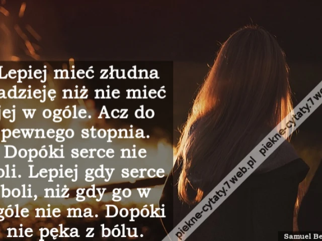 Lepiej mieć złudna nadzieję niż nie mieć jej w ogóle. Acz do pewnego stopnia. Dopóki serce nie boli. Lepiej gdy serce boli, niż gdy go w ogóle nie ma. Dopóki nie pęka z bólu.