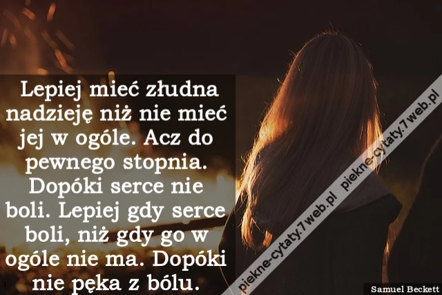 Lepiej mieć złudna nadzieję niż nie mieć jej w ogóle. Acz do pewnego stopnia. Dopóki serce nie boli. Lepiej gdy serce boli, niż gdy go w ogóle nie ma. Dopóki nie pęka z bólu.