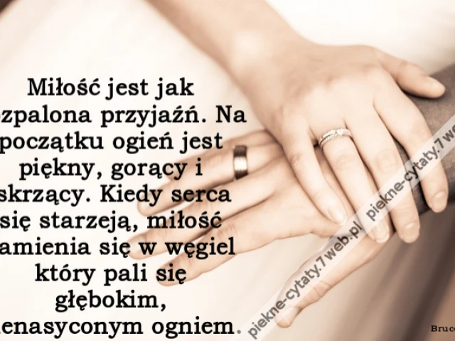 Miłość jest jak rozpalona przyjaźń. Na początku ogień jest piękny, gorący i iskrzący. Kiedy serca się starzeją, miłość zamienia się w węgiel który pali się głębokim, nienasyconym ogniem.