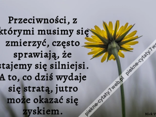 Przeciwności, z którymi musimy się zmierzyć, często sprawiają, że stajemy się silniejsi. A to, co dziś wydaje się stratą, jutro może okazać się zyskiem.