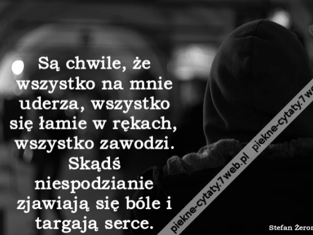 Są chwile, że wszystko na mnie uderza, wszystko się łamie w rękach, wszystko zawodzi. Skądś niespodzianie zjawiają się bóle i targają serce.