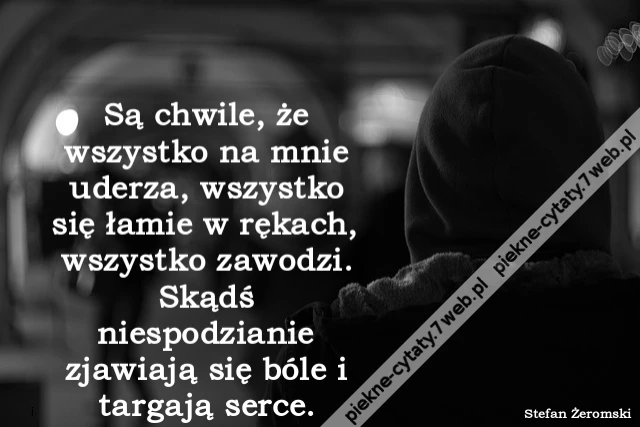 Są chwile, że wszystko na mnie uderza, wszystko się łamie w rękach, wszystko zawodzi. Skądś niespodzianie zjawiają się bóle i targają serce.