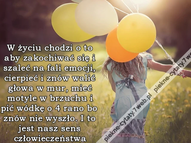 W życiu chodzi o to aby zakochiwać się i szaleć na fali emocji, cierpieć i znów walić głowa w mur, mieć motyle w brzuchu i pić wódkę o 4 rano bo znów nie wyszło. I to jest nasz sens człowieczeństwa