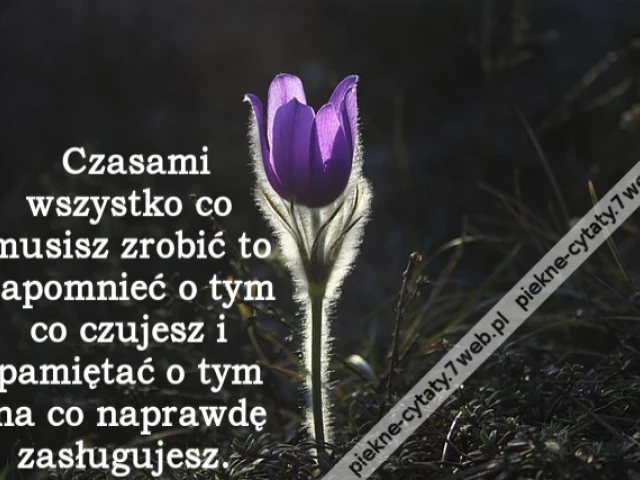 Czasami wszystko co musisz zrobić to zapomnieć o tym co czujesz i pamiętać o tym na co naprawdę zasługujesz.