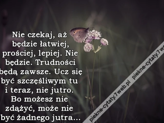 Nie czekaj, aż będzie łatwiej, prościej, lepiej. Nie będzie. Trudności będą zawsze. Ucz się być szczęśliwym tu i teraz, nie jutro. Bo możesz nie zdążyć, może nie być żadnego jutra...