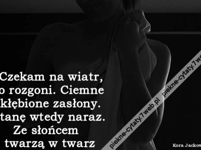 Czekam na wiatr, co rozgoni. Ciemne skłębione zasłony. Stanę wtedy naraz. Ze słońcem twarzą w twarz.