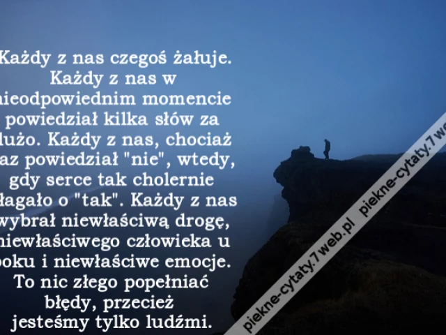 Każdy z nas czegoś żałuje. Każdy z nas w nieodpowiednim momencie powiedział kilka słów za dużo. Każdy z nas, chociaż raz powiedział "nie", wtedy, gdy serce tak cholernie błagało o "tak". Każdy z nas wybrał niewłaściwą drogę, niewłaściwego człowieka u bok