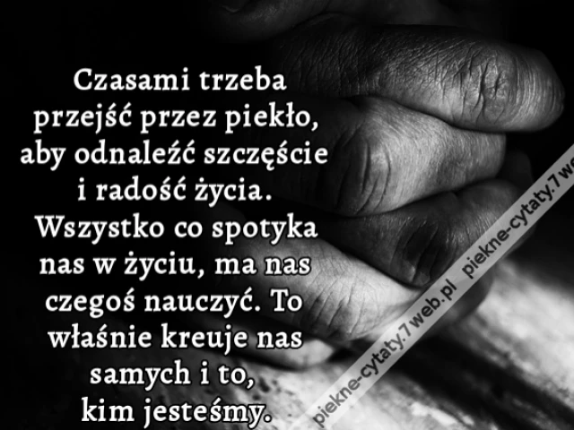 Czasami trzeba przejść przez piekło, aby odnaleźć szczęście i radość życia. Wszystko co spotyka nas w życiu, ma nas czegoś nauczyć. To właśnie kreuje nas samych i to, kim jesteśmy.
