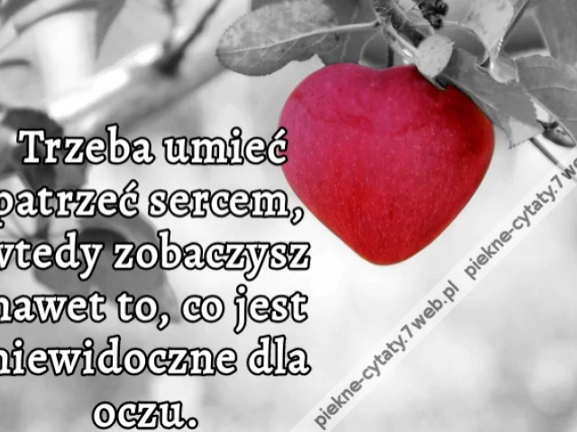 Trzeba umieć patrzeć sercem, wtedy zobaczysz nawet to, co jest niewidoczne dla oczu.