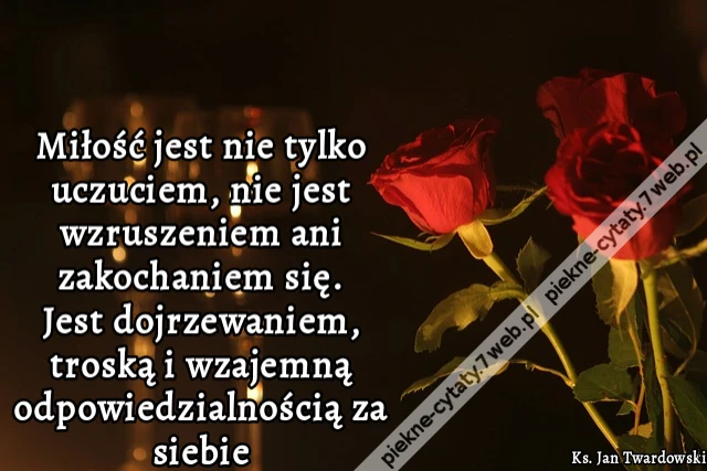Miłość jest nie tylko uczuciem, nie jest wzruszeniem ani zakochaniem się. Jest dojrzewaniem, troską i wzajemną odpowiedzialnością za siebie.