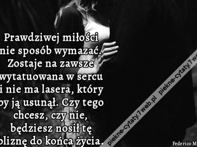 Prawdziwej miłości nie sposób wymazać. Zostaje na zawsze wytatuowana w sercu i nie ma lasera, który by ją usunął. Czy tego chcesz, czy nie, będziesz nosił tę bliznę do końca życia.