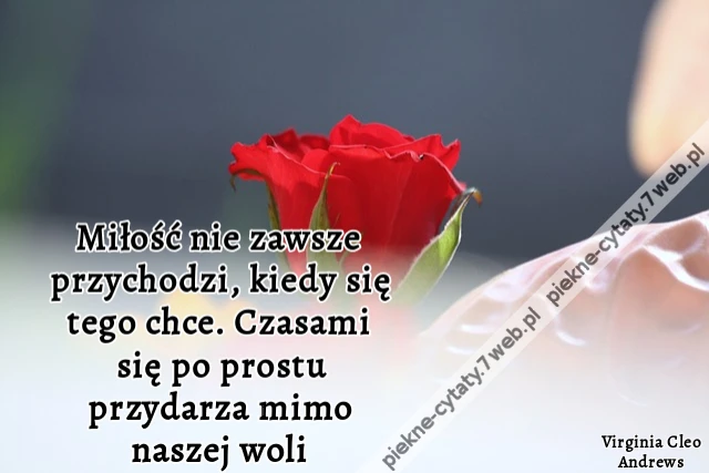 Miłość nie zawsze przychodzi, kiedy się tego chce. Czasami się po prostu przydarza mimo naszej woli