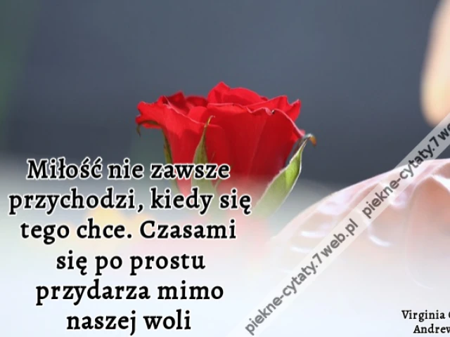 Miłość nie zawsze przychodzi, kiedy się tego chce. Czasami się po prostu przydarza mimo naszej woli