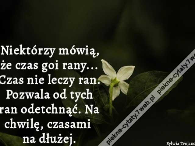 Niektórzy mówią, że czas goi rany... Czas nie leczy ran. Pozwala od tych ran odetchnąć. Na chwilę, czasami na dłużej.