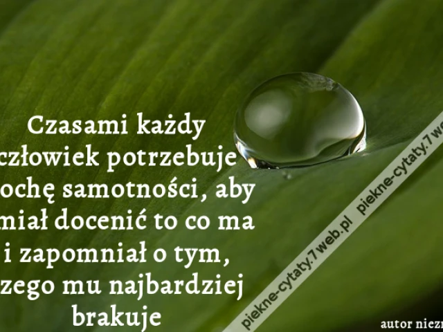 Czasami każdy człowiek potrzebuje trochę samotności, aby umiał docenić to co ma i zapomniał o tym, czego mu najbardziej brakuje