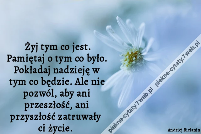 Żyj tym co jest. Pamiętaj o tym co było. Pokładaj nadzieję w tym co będzie. Ale nie pozwól, aby ani przeszłość, ani przyszłość zatruwały ci życie.