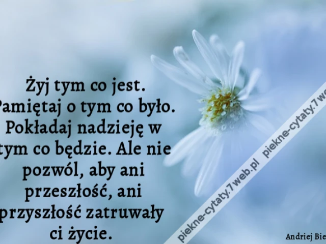 Żyj tym co jest. Pamiętaj o tym co było. Pokładaj nadzieję w tym co będzie. Ale nie pozwól, aby ani przeszłość, ani przyszłość zatruwały ci życie.