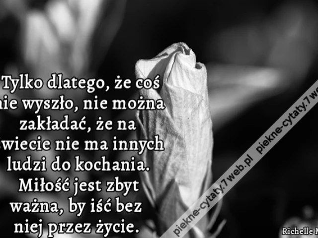 Tylko dlatego, że coś nie wyszło, nie można zakładać, że na świecie nie ma innych ludzi do kochania. Miłość jest zbyt ważna, by iść bez niej przez życie.