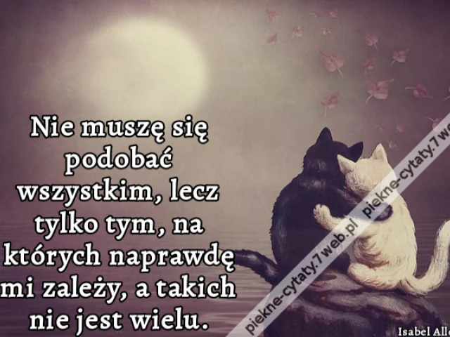 Nie muszę się podobać wszystkim, lecz tylko tym, na których naprawdę mi zależy, a takich nie jest wielu.