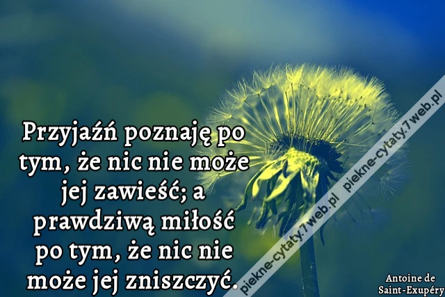Przyjaźń poznaję po tym, że nic nie może jej zawieść; a prawdziwą miłość po tym, że nic nie może jej zniszczyć.