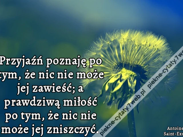 Przyjaźń poznaję po tym, że nic nie może jej zawieść; a prawdziwą miłość po tym, że nic nie może jej zniszczyć.